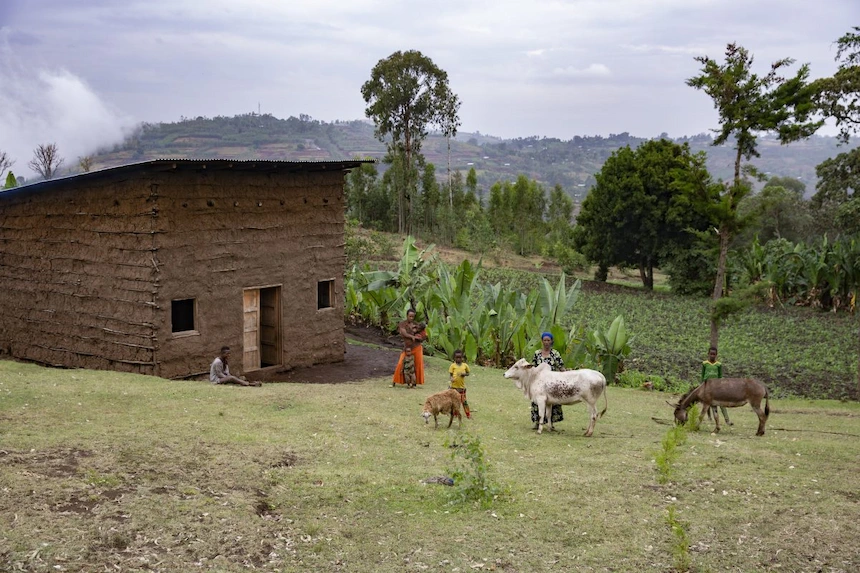 Rural scene in Ethiopia