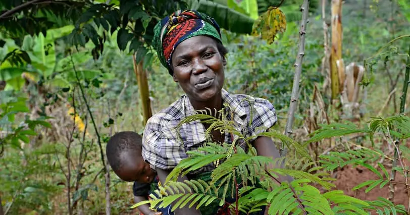 Marie Therese Barampama, 41, checks on the calliandra and leucaena saplings she recently planted, along with her 15-month old daughter Charite. Marie Therese and members of her community at Mirama in Bugendana have taken part in Concern’s agro-forestry and community resilience program. As well as planting trees to reverse the effects of soil erosion, they have also dug drainage ditches and planted anti-erosion hedges on hillsides.