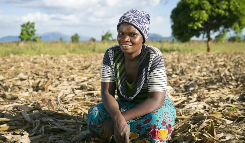 A women farmer in Malawi with a conservation agriculture plot