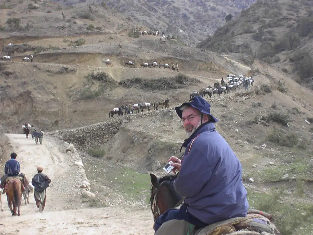 A donkey drove in Afghanistan