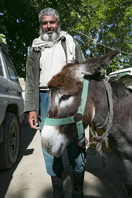 A man and a donkey in Afghanistan