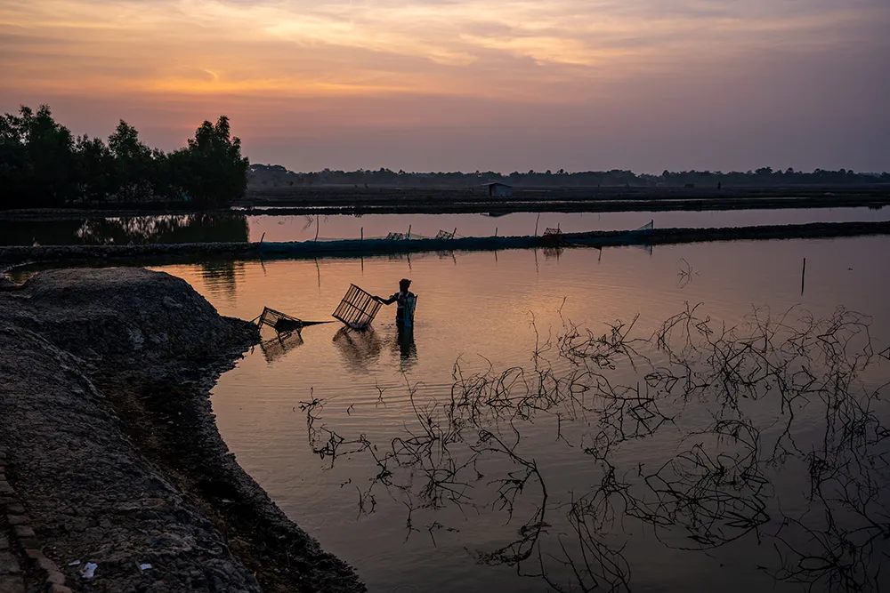 A coastal scene in Bangladesh