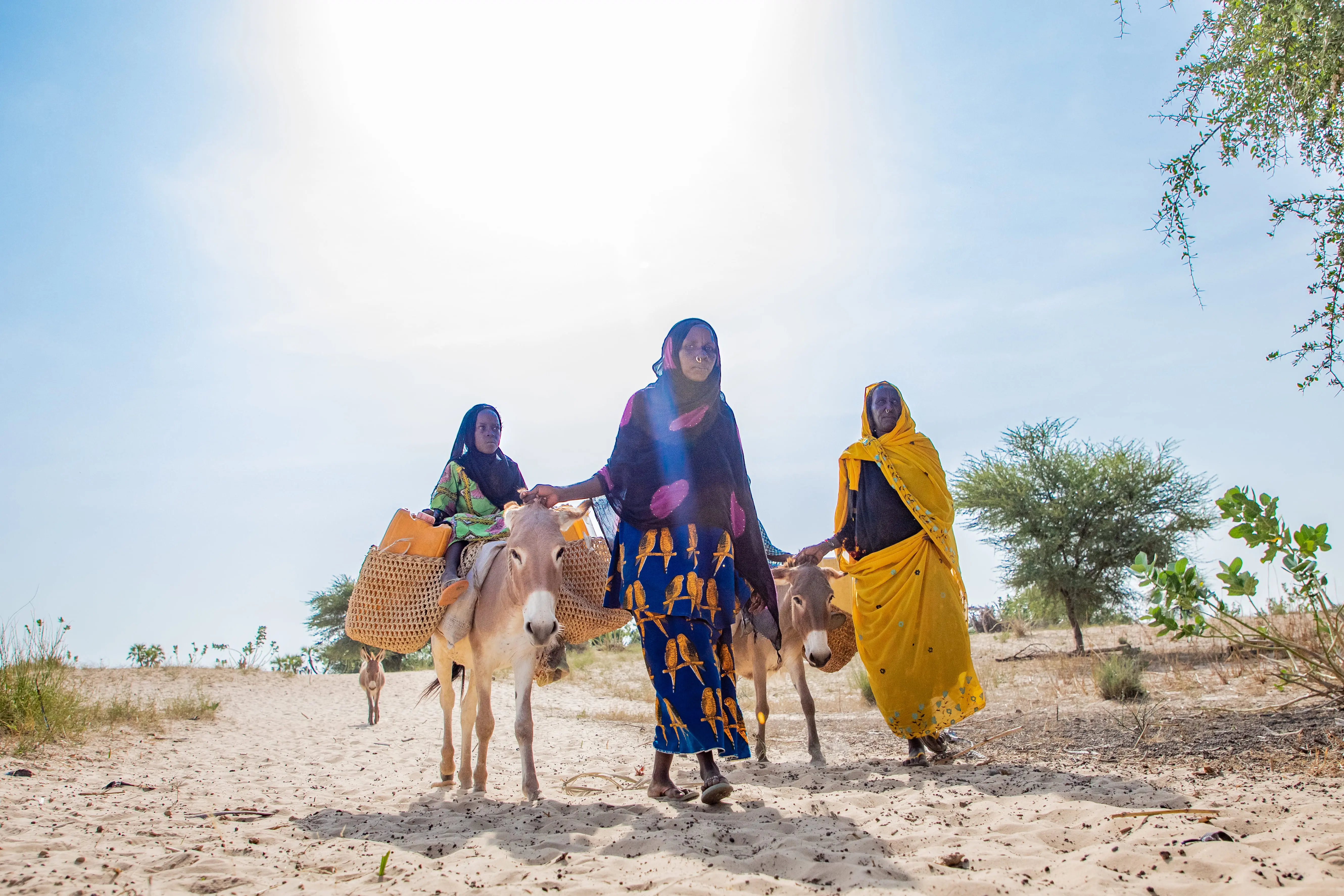 Women travel for hours to gather water in Chad, a country hit hard by climate change as well as several other humanitarian crises.