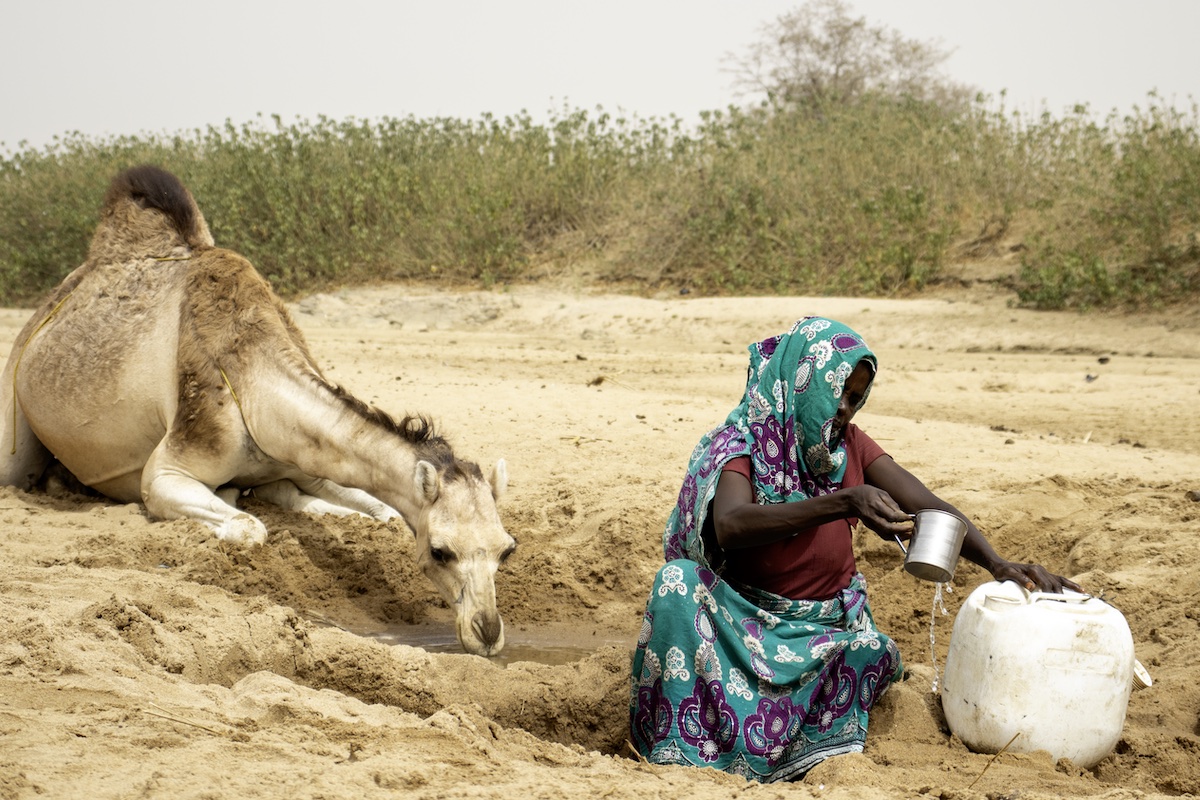 A young girl collects water from a valley in Chad, accompanied by a camel.