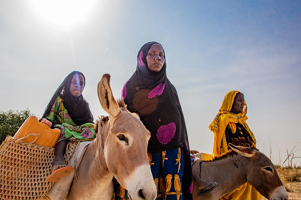 Women and girls transporting water using donkeys in Chad.