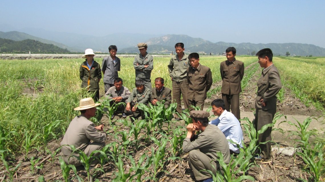 Farmers taking part in field training in Kangwon Province. (Photo: Concern Worldwide)