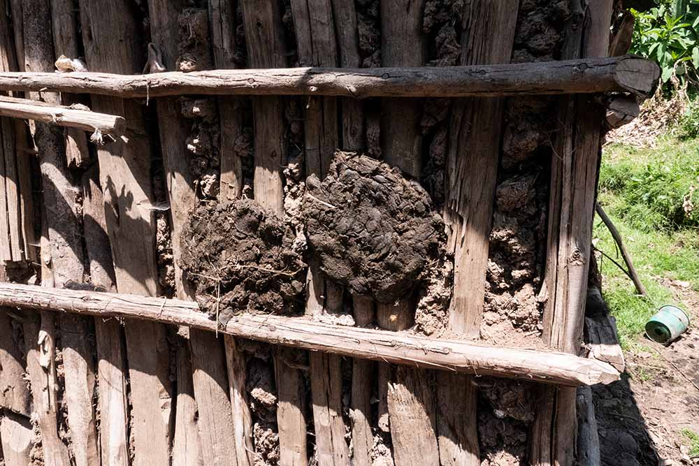 Cow dung drying on a fence in Ethiopia.