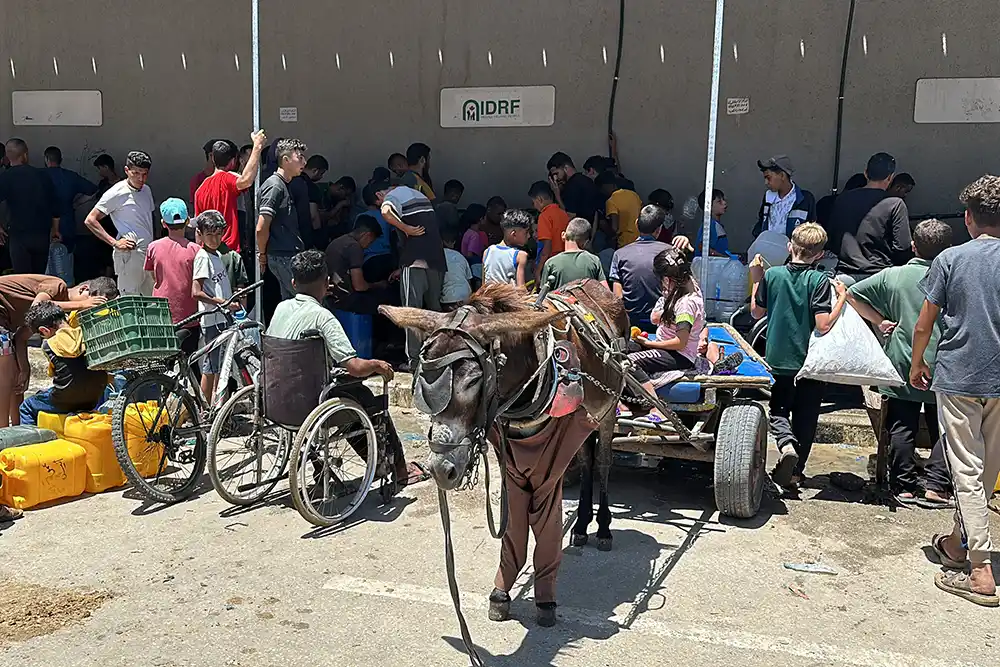 A donkey and cart in Gaza