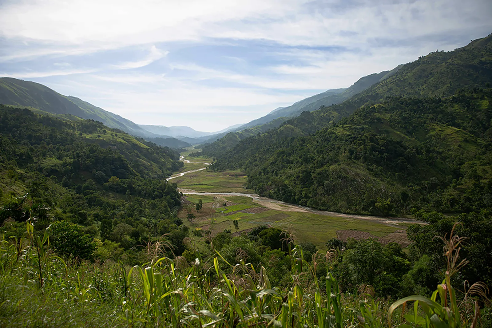 Haitian countryside