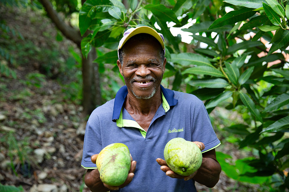 haitian farmer smiling with mangos