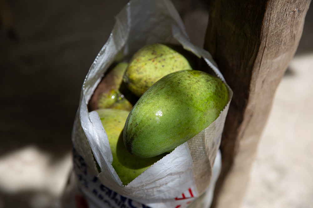 mangos in a bag