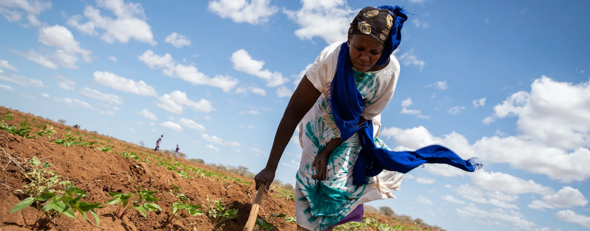 Woman in Tana River County, Kenya, tending mung beans in her home garden