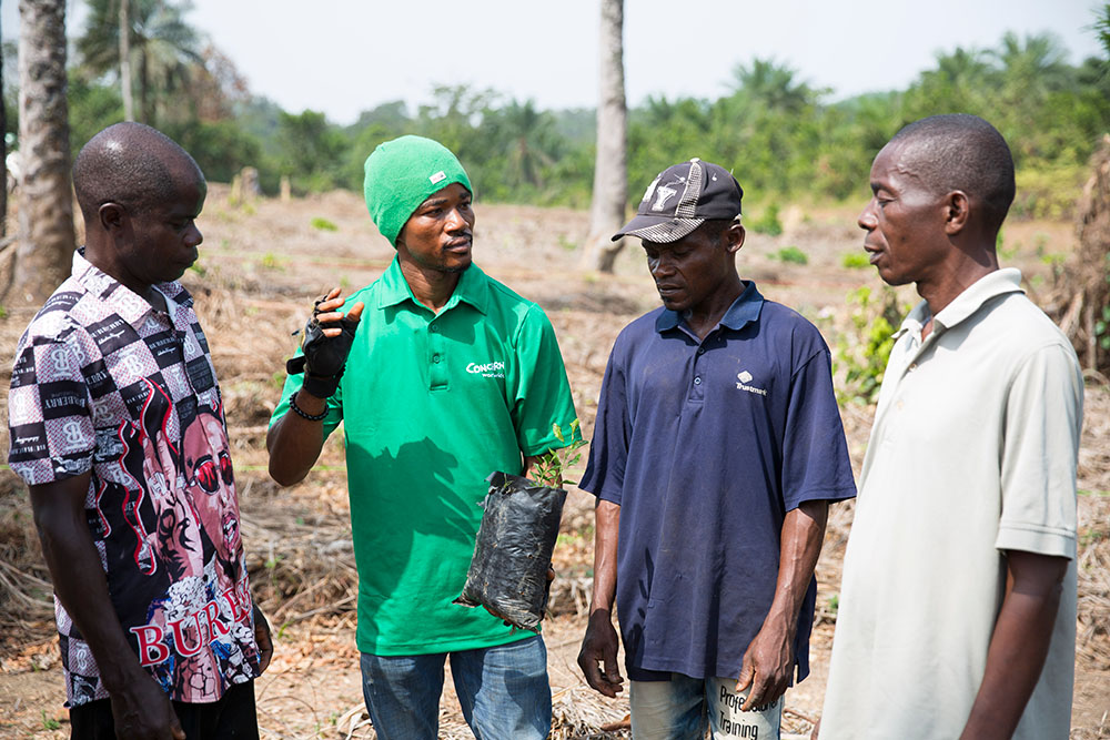 Liberian men discussing agroforestry