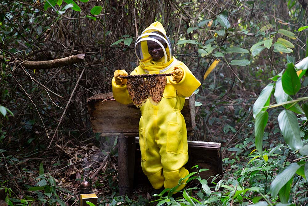 Man in protective suit at beehive