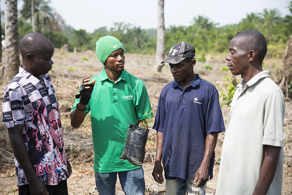 Agroforestry training in Liberia