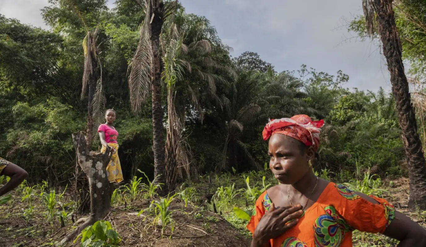 Anna Morris (50) and her family cultivate a small plot of land near their home in Wrobone Town, Liberia.