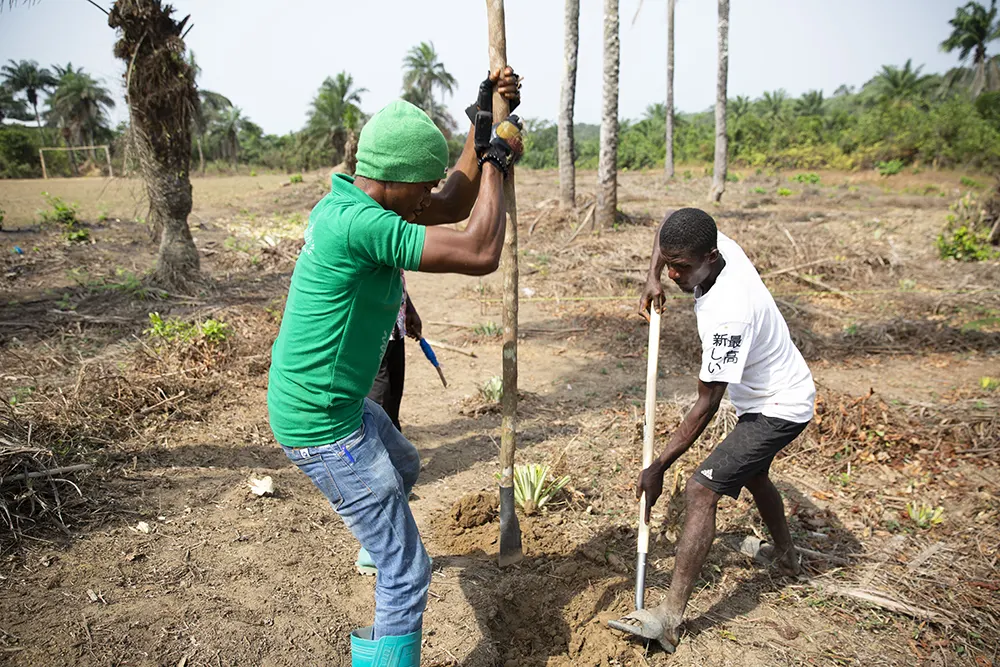 Two men digging a hole in Liberia