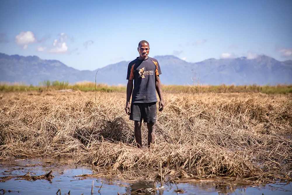 A man stands in front of his flood damaged crops in Malawi