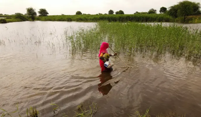 Woman in the 2022 Pakistan floods