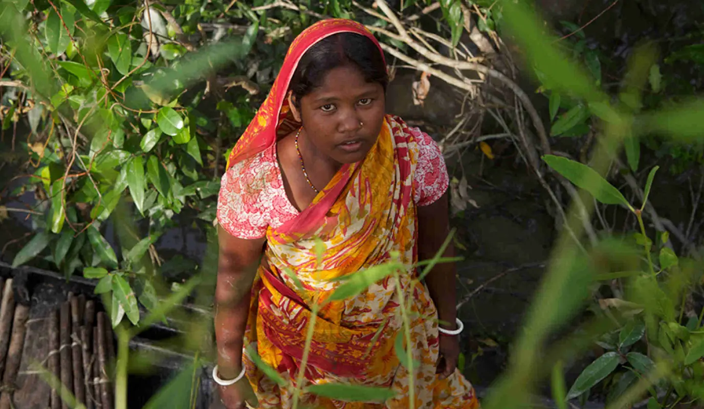 Lakhhi Munda searches the Sundarbans for fuel wood