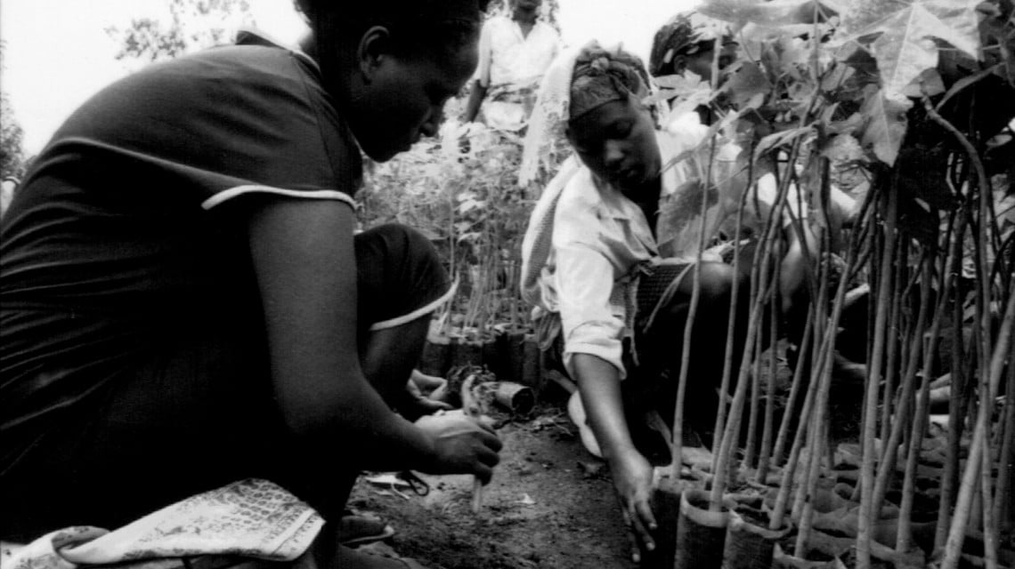 A Concern-led agriculture project in Ethiopia, 1989. (Photos: Concern Worldwide)