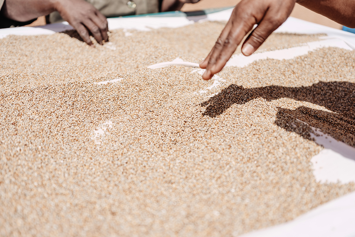 Production of Misola Fortified Flour in Tahoua, Niger. Concern partnered with Misola to set up a production facility in Tahoua and train its employees in production and marketing the enriched flour, which is effective at fighting malnutrition in children. (Photo: Ollivier Girard/Concern Worldwide)