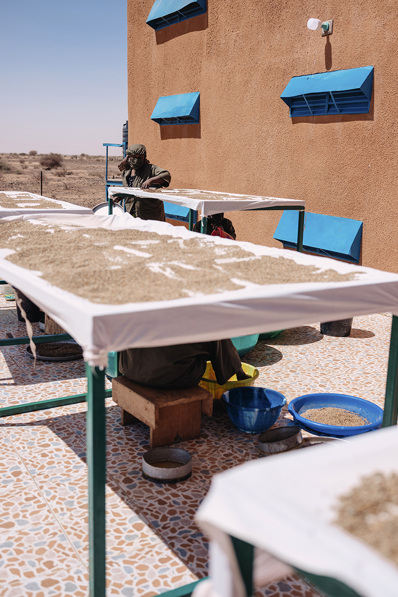 Production of Misola Fortified Flour in Tahoua, Niger. Concern partnered with Misola to set up a production facility in Tahoua and train its employees in production and marketing the enriched flour, which is effective at fighting malnutrition in children. (Photo: Ollivier Girard/Concern Worldwide)