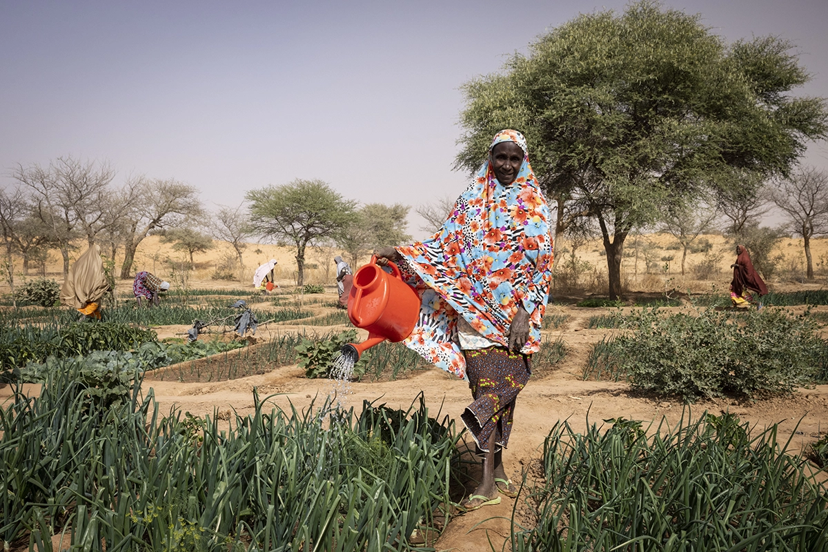 Doma Mahamadou (70) is a great-grandmother with 7 children, 10 grandchildren, and 5 great-grandchildren. She works in her home garden in Tounji Illy, Niger. (Photo: Ed Ram/Concern Worldwide)