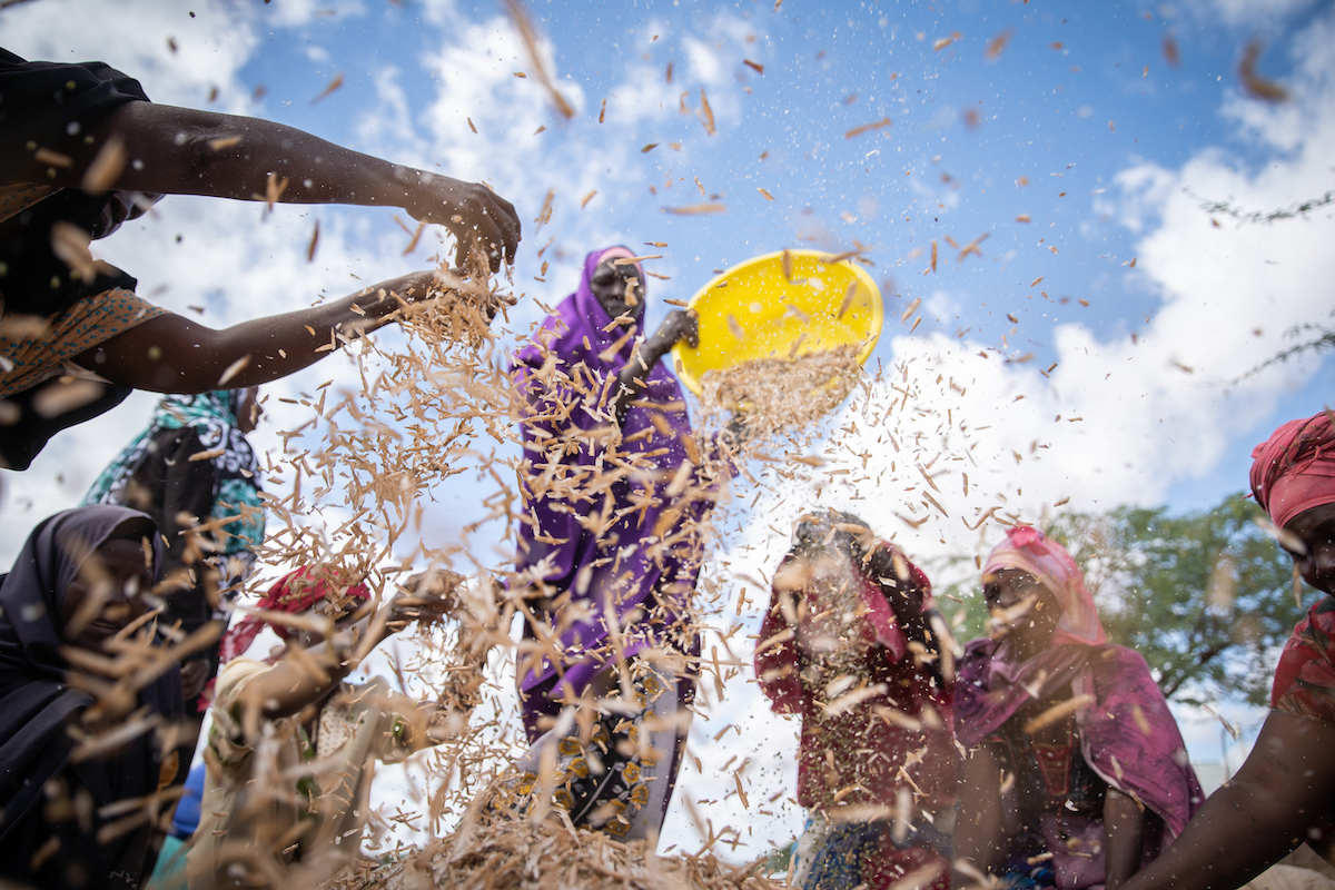 LEAF Project participants winnow mung beans in Makere village in Tana River County, Kenya. (Photo: Lisa Murray/Concern Worldwide)