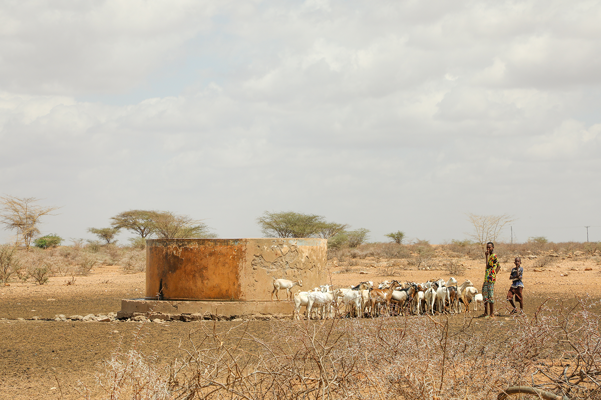 Marsabit, Kenya, during a recent drought. (Photo: Gavin Douglas/Concern Worldwide)