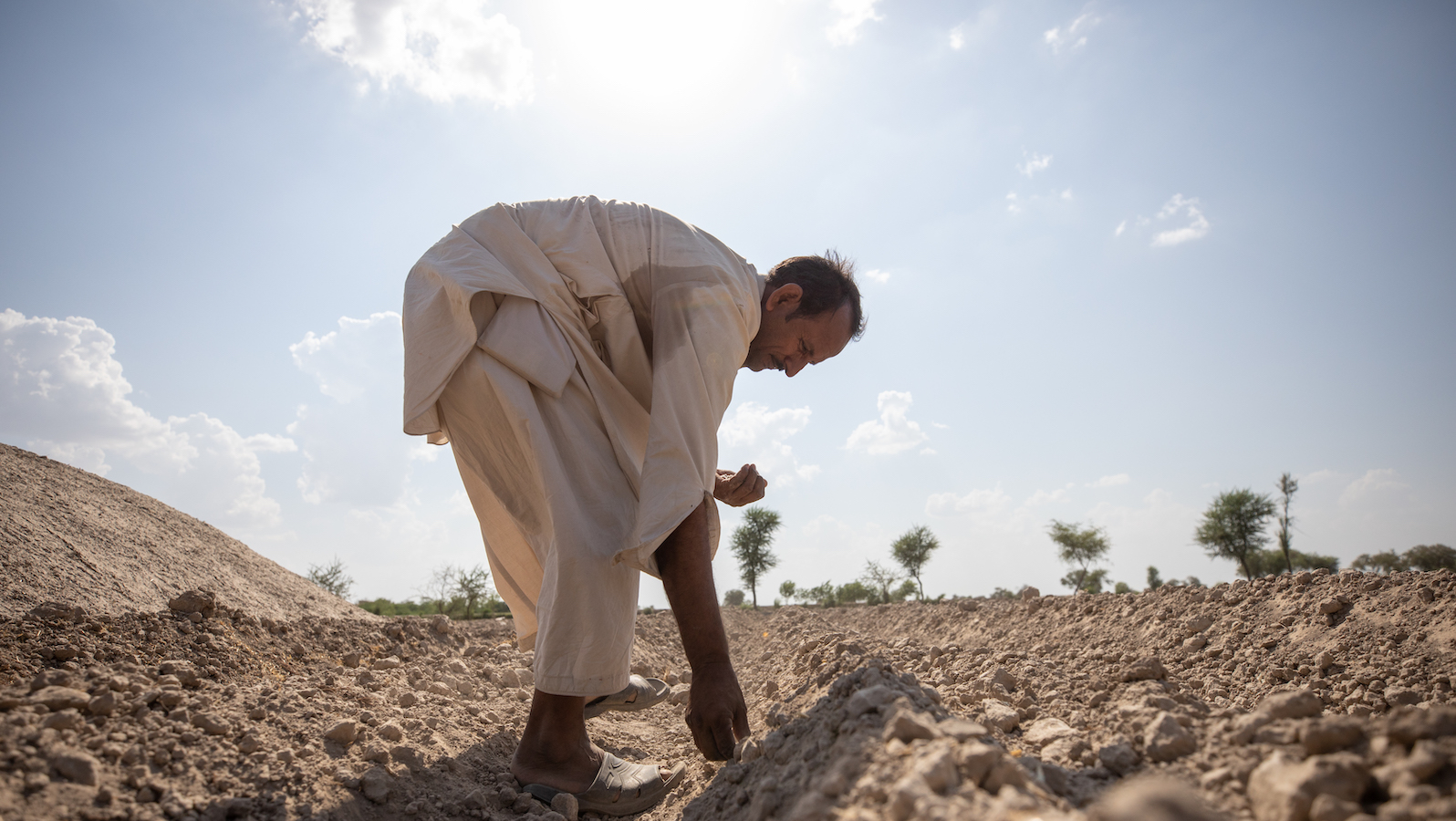 Maula Dinno is a farmer in Sindh. He sows cotton seeds on the farm land. He attended trainings at a farming school facilitated by Concern Worldwide and also received the cotton seeds to help him overcome the losses he faced during the floods in 2022. (Photo: Khaula Jamil/DEC/Concern Worldwide)