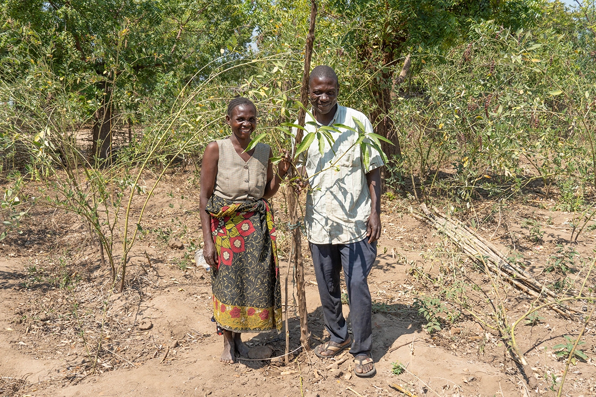 Godfrey Sain (45) and Agness Bowa (33) at a new mango tree in their home garden in Lundu Village, Group Village Headman Lundu, TA Malemia, Nsanje District, Malawi. Godfrey is a lead farmer and gender equality advocate. (Photo: Chris Gagnon/Concern Worldwide)