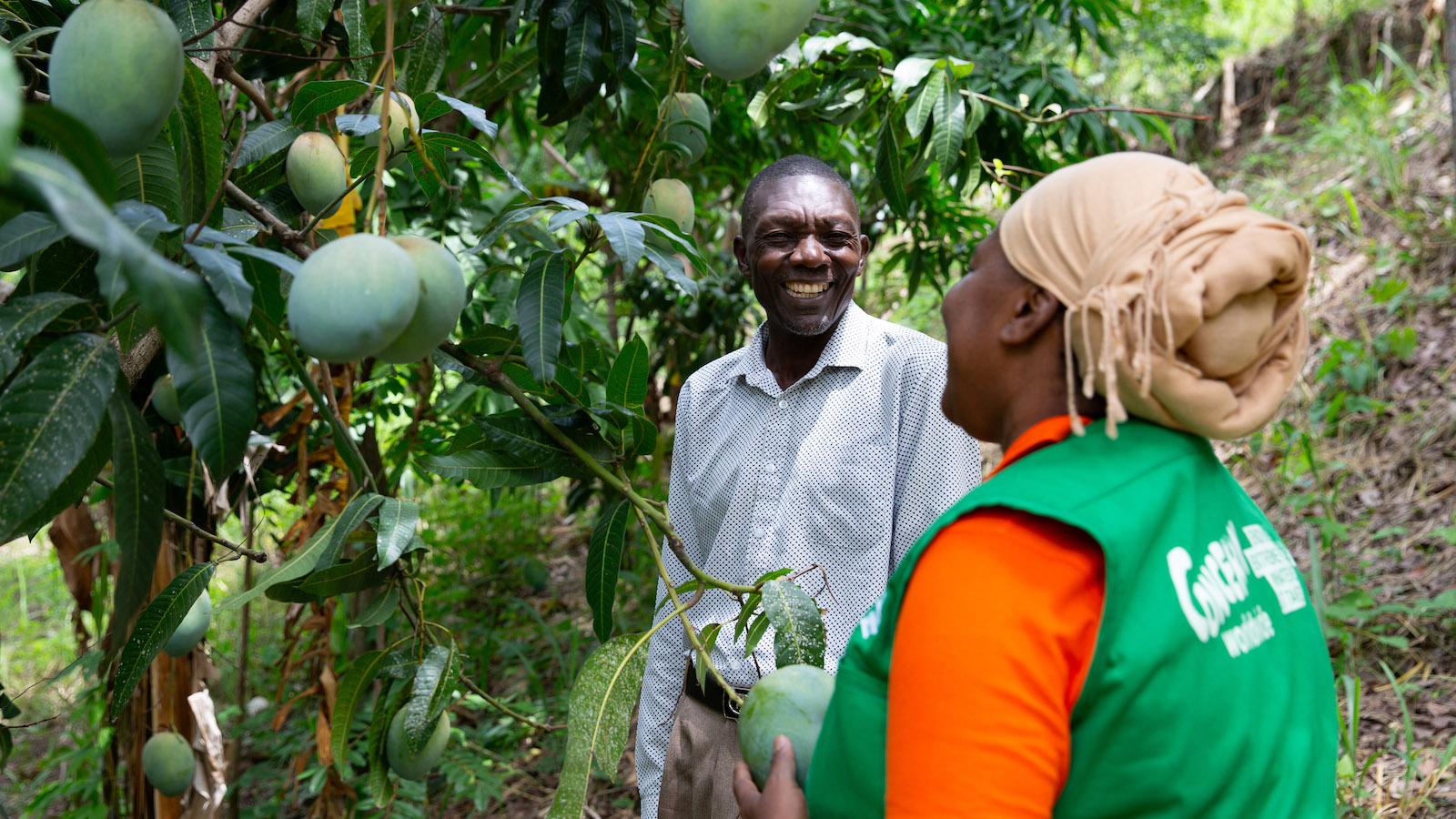 Province Olive, local Casec (community leader) talks to Mimose Jeune of Concern at his mango farm in the Centre department of Haiti. (Photo: Kieran McConville/Concern Worldwide)