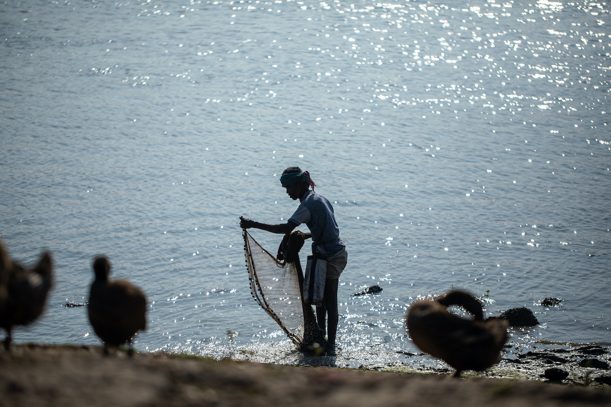 Rampada, a fisherman from the Munda community, busy catching fish in the river Rai, in Dacope, Bangladesh. His indigenous community is particularly dependent on catching from the river. (Photo: Mumit M/Concern Worldwide)