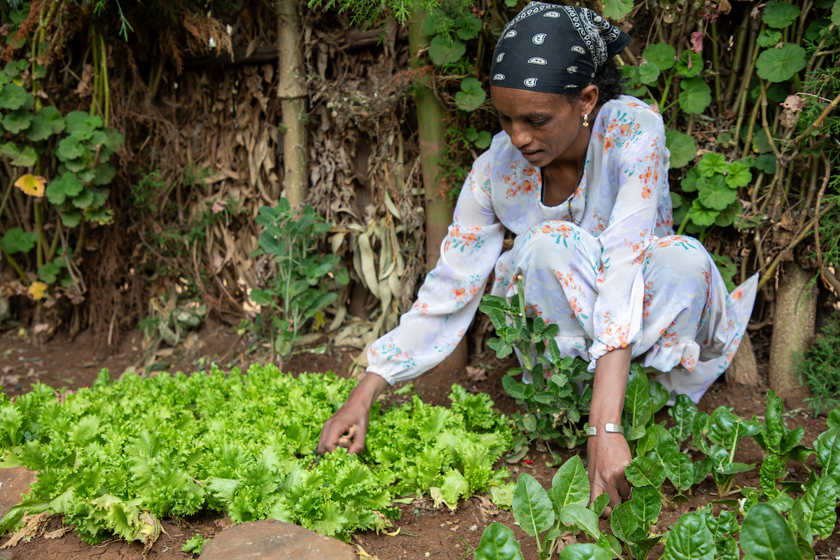 Mother of one, Asmaru Derebe at her home garden. (Photo: Eugene Ikua/Concern Worldwide)