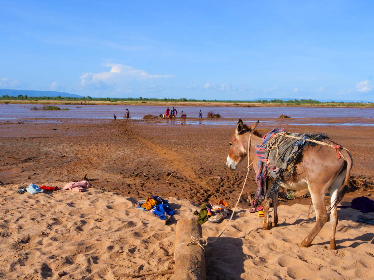 Families fetching water from the Shebelle River in West Imi, Ethiopia. The Shebelle is the only water source available to the communities living in West Imi. (Photo: Eugene Ikua/Concern Worldwide)