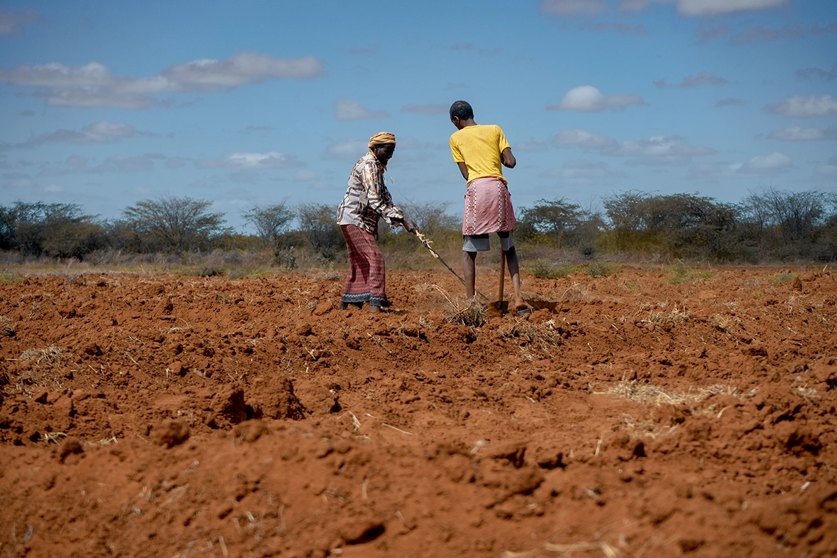 Farmers Hassan Ali and Adam Mohamed prepare the fields for planting in Bardhere District, Somalia. They have taken part in an ECHO-funded system restoration project led by BRCiS & Lifeline Gedo under Concern's resilience program. (Photo: Concern Worldwide)