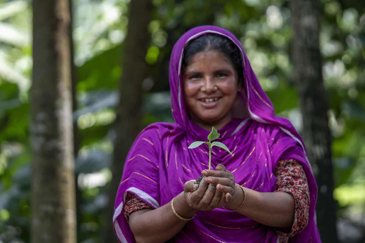 Mst Chayna Begum (35) holds a bottle gourd seedling, ready for replanting. She also grows eggplants and green chilli in movable sacks placed in her yard in North Dhubni, as part of a Zurich Climate Resilience Alliance-funded program in Bangladesh. (Photo: Saikat Mojumder/Concern Worldwide)