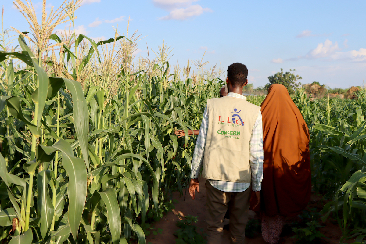 A member of Somalia's Lifeline Gedo team visits the farm of a Hanaano participant in Dollow.