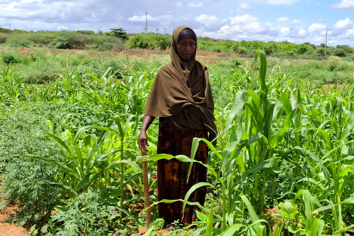 A Hanaano participant in Kenya’s Mandera county works on the field that she’s been able to cultivate through the program.