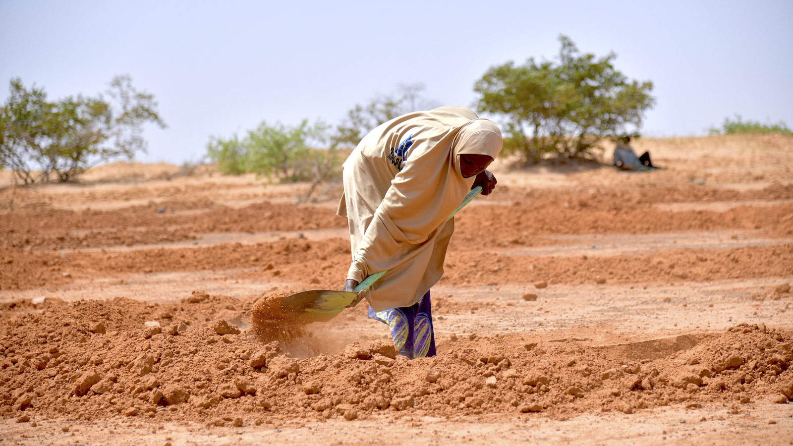 Cash for Work-Land restoration work in the village of Dan Tounou, Niger. (Photo: Concern Worldwide)