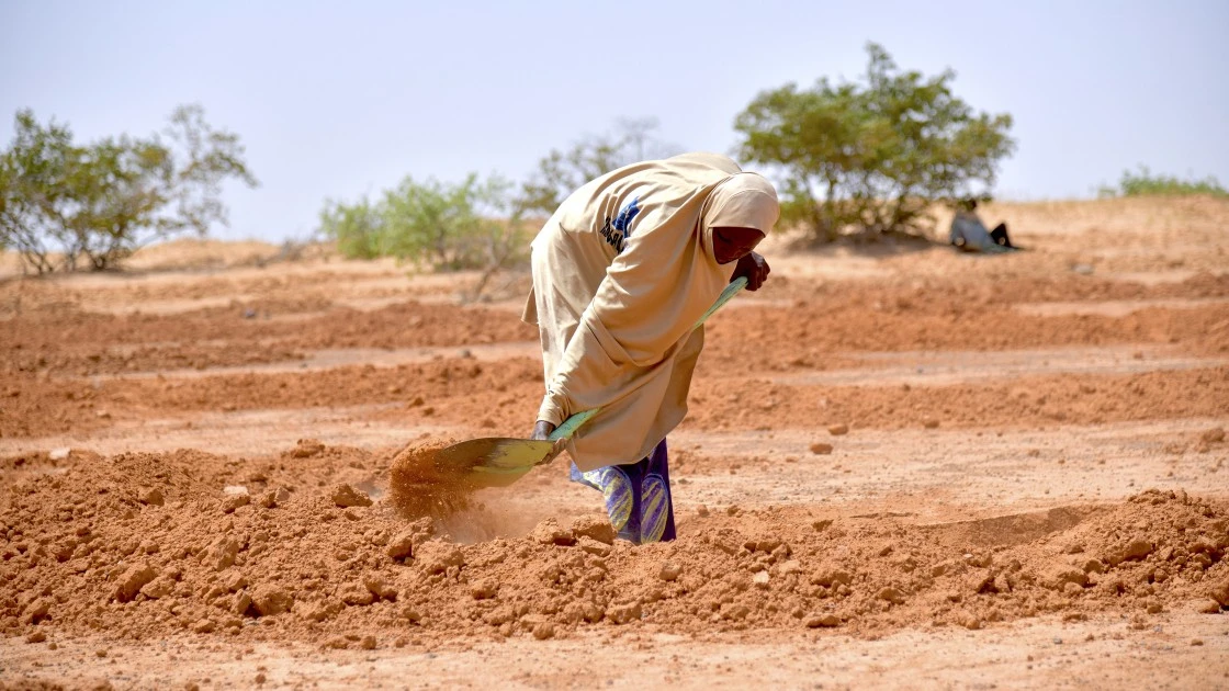 A Concern-led land restoration project in the village of Dan Tounou, Niger.