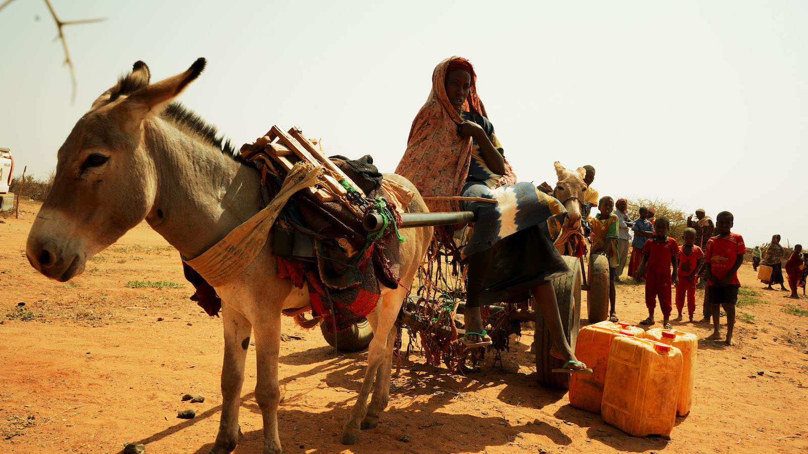 Mother-of-eight Binta Feriahmed lives in the drought-struck Somali region of Ethiopia. She joined Concern's Hanaano program, which is responding to high levels of child wasting in the area. (Photo: Adnan Ahmed/Concern Worldwide)
