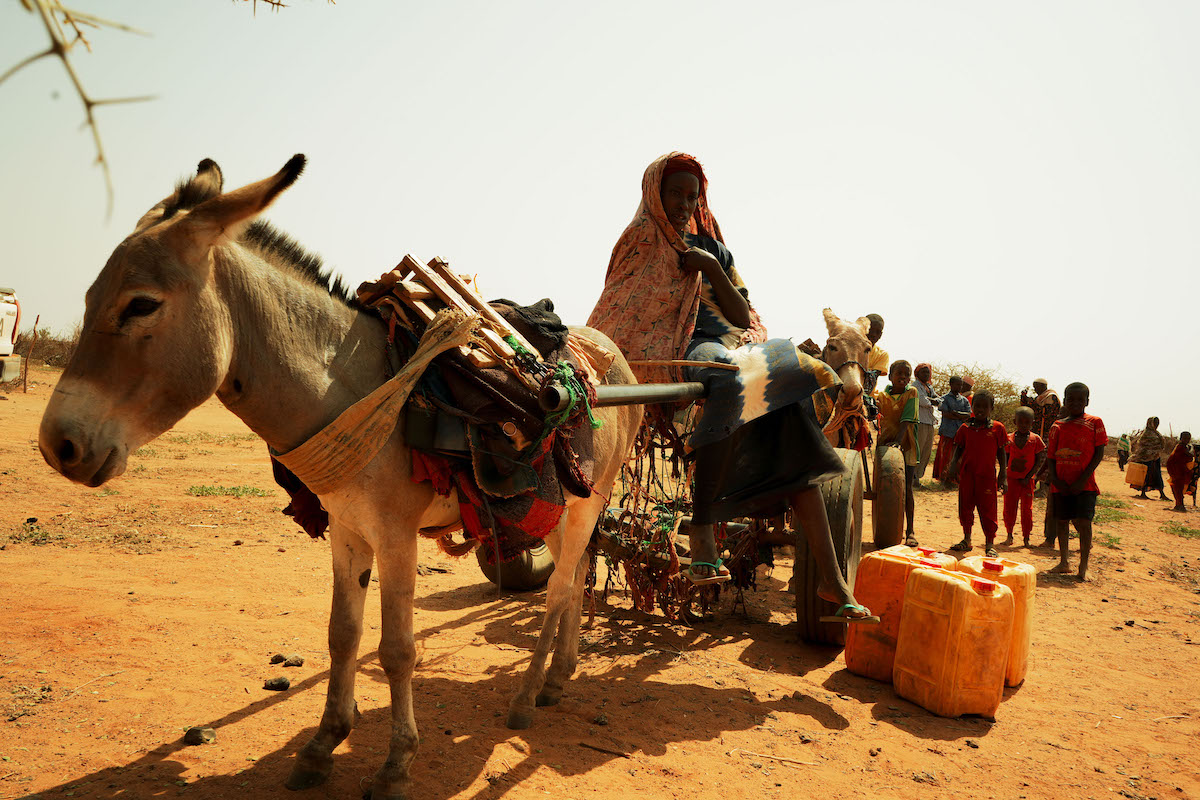 Hanaano participant Binta Feriahmed gathers water in Dollo Bay Woreda, Ethiopia. 