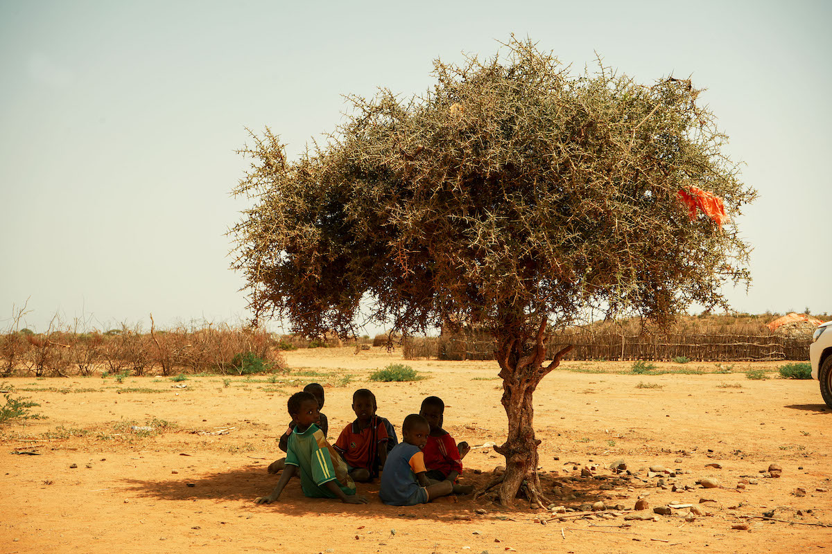 Children in Ethiopia's drought-struck Mandera Triangle region take shade under a tree.