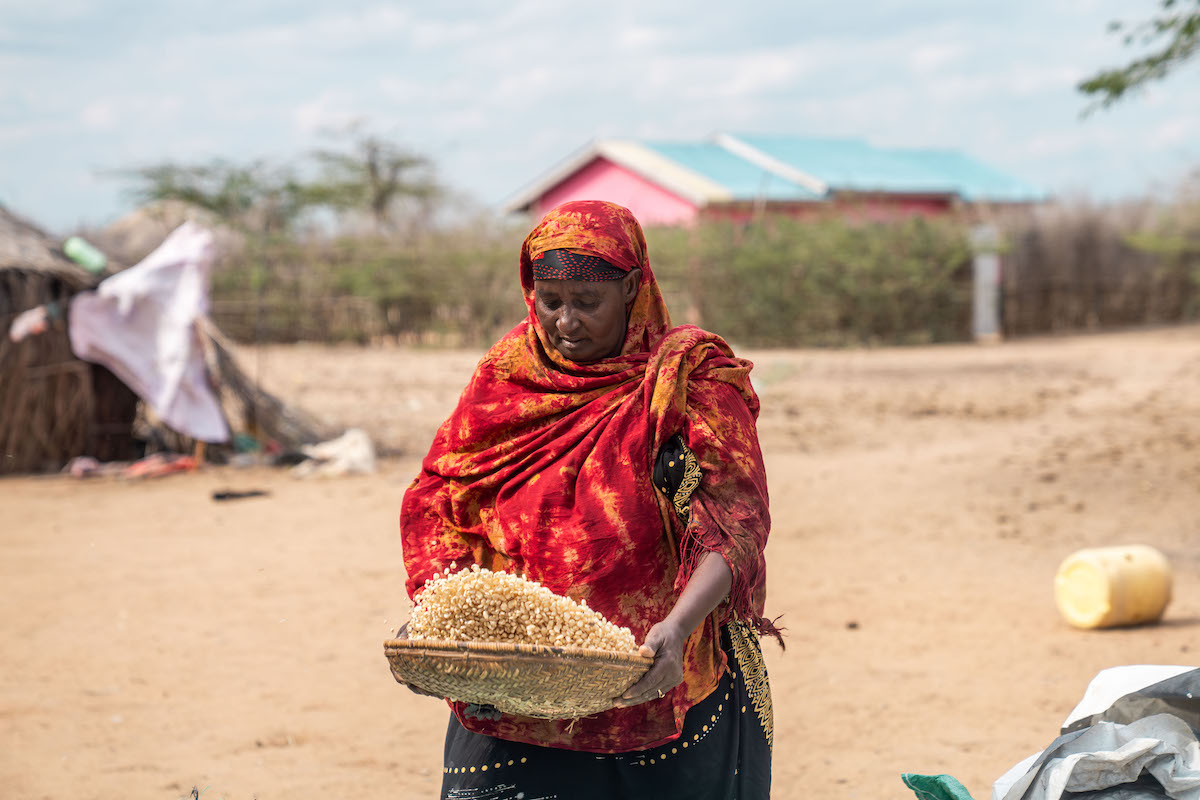 Ralia Ayo Gabe (55) prepares her harvested corn for storage. As chair of Bula Safi, a 20-member farming group, she has seen her community benefit from corn seedlings, tractors for tilling, better market access, and water support. (Photo: Eugene Ikua/Concern Worldwide)