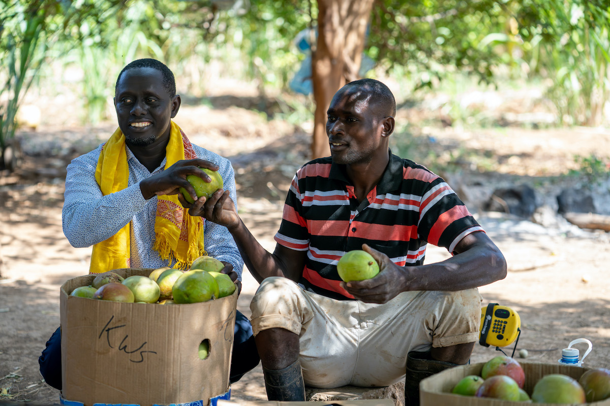 Ibrahim Yakub Mansa (right) is a member of the Gubatu Self-Help Group, which has participated in ALIVE (Agricultural Livelihoods Improving Value Chains and the Environment), a Concern program led in partnership with Kerry Group. (Photo: Eugene Ikua/Concern Worldwide)