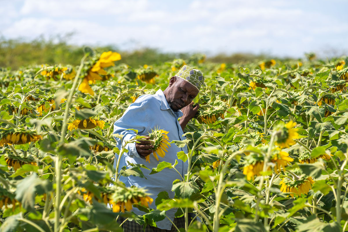 Yusuf Bile is the community resource person for the 364-member Mwafak Farmers group which previously kept livestock but now farms commercially, producing sunflower oil and onions. With support from Concern and corporate partner Archer Daniels Midland, he participated in the 2025 Mombasa Show, where he secured a client for his onions. Photo: Eugene Ikua/Concern Worldwide