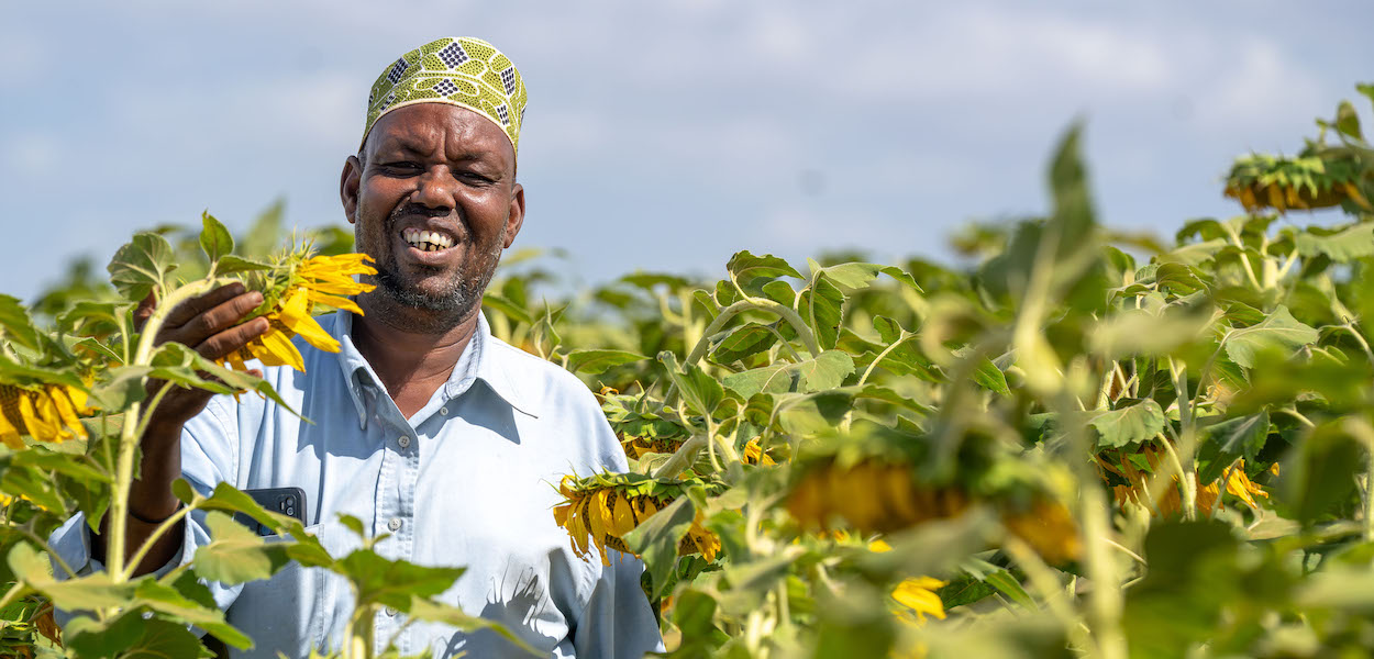 Yusuf Bile is the community resource person for the 364-member Mwafak Farmers group which previously kept livestock but now farms commercially, producing sunflower oil and onions. With Concern and ADM's support, he participated in the 2025 Mombasa Show, where he secured a client for his onions. Photo: Eugene Ikua/Concern Worldwide