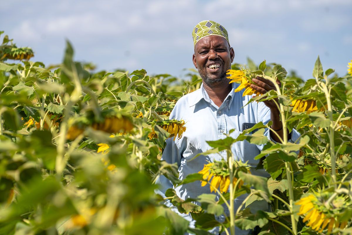 Yusuf Bile is the community resource person for the 364-member Mwafak Farmers' Group, which previously kept livestock but now produces sunflower oil and onions.
